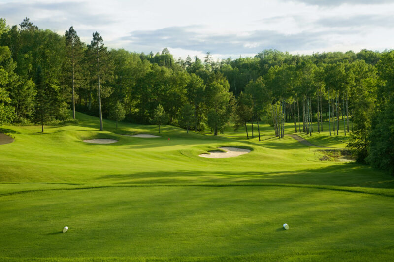 Golf green and tee box in late afternoon sunlight